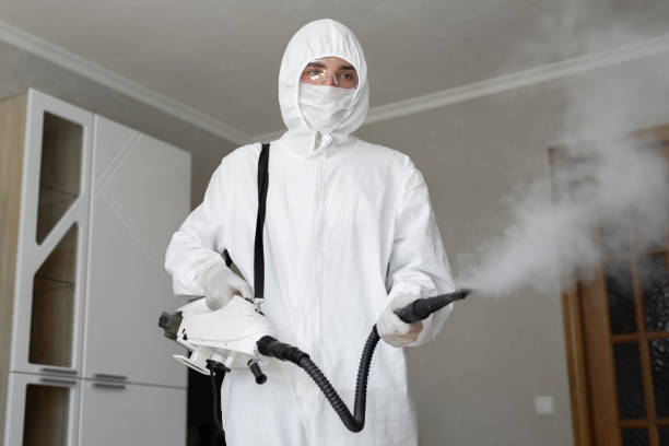 Why You Should Choose Our Mold Remediation Services in Cambridge Springs, PA